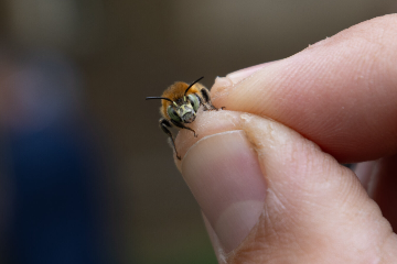 Company Of Entrepreneurs